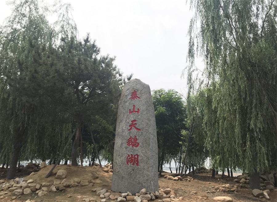天鵝湖風(fēng)景區(qū)（泰山）速覽！(圖12)