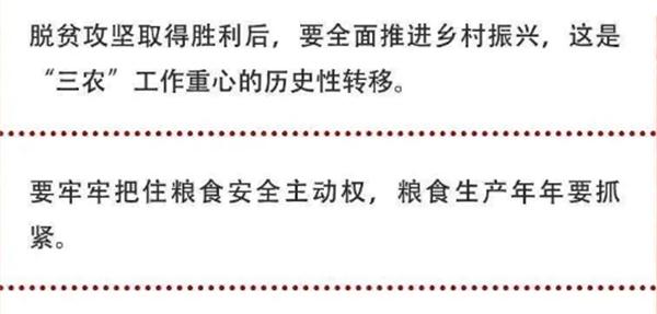 2020年中央農(nóng)村工作會(huì)議精神速覽！(圖2)
