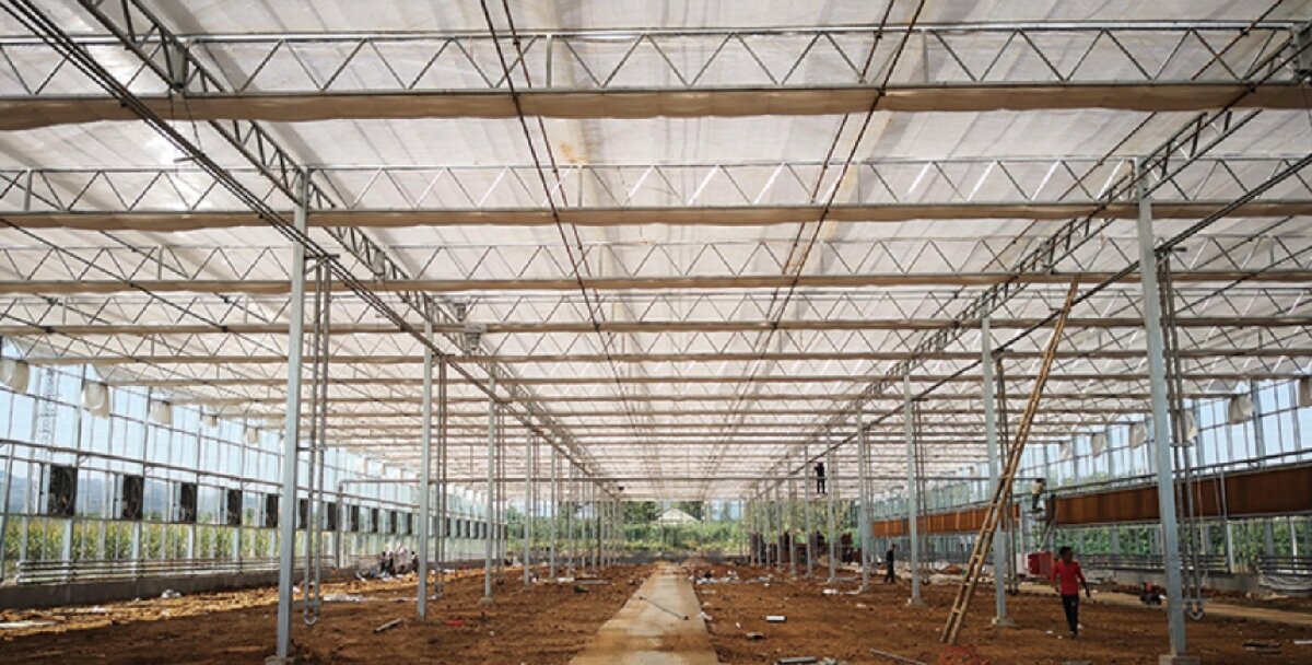 信橋鋼構(gòu)：打卡蒙陰農(nóng)業(yè)溫室大棚、青州黑牛養(yǎng)殖基地！(圖3)