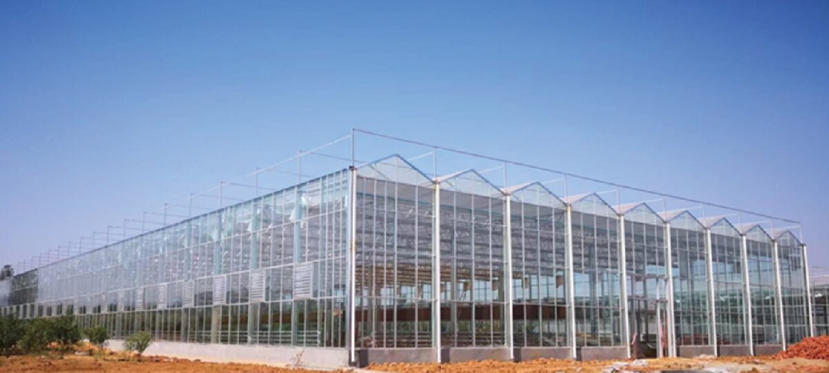 信橋鋼構(gòu)：打卡蒙陰農(nóng)業(yè)溫室大棚、青州黑牛養(yǎng)殖基地！(圖2)