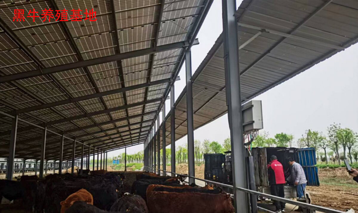 鋼結(jié)構(gòu)工程全流程服務：山東信橋鋼結(jié)構(gòu)有限公司(圖13)